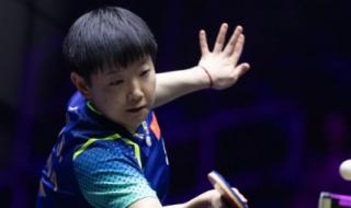 孙颖莎夺得女单冠军 孙颖莎夺得女单冠军